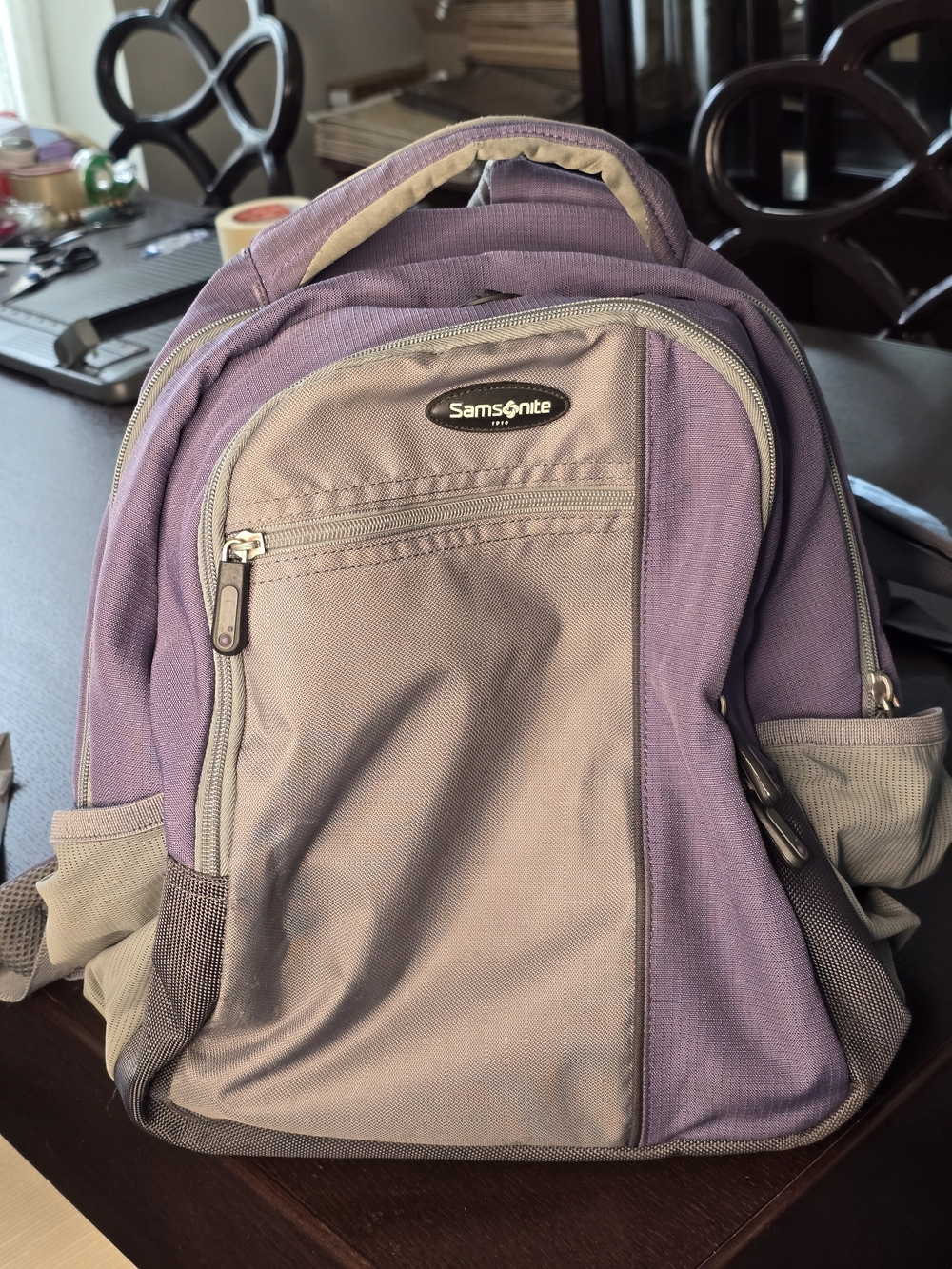 Samsonite Purple and Gray Men's Backpack